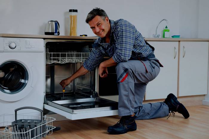 Bulaşık Makinesi Tamircisi